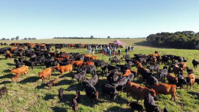Grupo de produtores do Sindicato Rural de Laranjeiras do Sul realiza visitas técnicas em Guarapuava